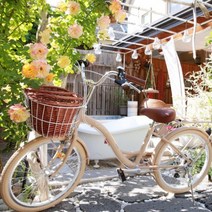 스웨덴 도쿄나인 여성용 바구니자전거 출퇴근용 10차 입고완료, 상세정보참조