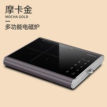 1구 원룸 하이라이트 Chigo 가정용 지능형 요리 스토브 다기능 통합 소형 냄비 인덕션 쿠커 2200W, 02 Mocha Gold 220v_03 EU