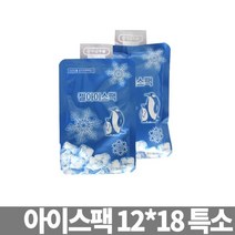 젤 아이스팩 12x18 특소 얼음팩 냉동팩 쿨팩 냉찜질팩 보냉팩 쿨러백팩 얼음주머니팩 보냉제, 1