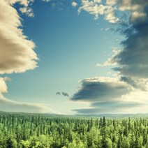 [AF] 소프티아쿠아 ( 알러지프리 ) Softy Aqua 프래그런스오일 향료, 1L