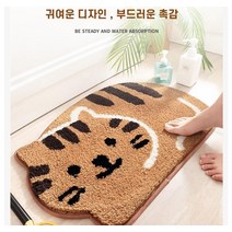 laterior 먼지없는 매트