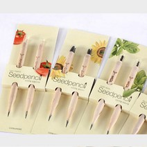 바질키우기 연필꽂이 화분 방울토마토 씨앗심기 키트, 디바인스 방울토마토