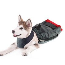 동물보조기 반려견휠체어 조절 가능한 애완견 카트 장애인 개 보조 보행 car pet 뒷다리 운동 car for hind leg 재활 dog walk, xxl