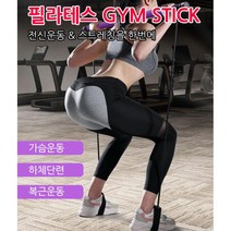 여자 홈트레이닝 전신 운동 튜빙 밴드 스틱 홈트레이닝기구 풀업밴드 스트레칭기구, 짐스틱 퍼플