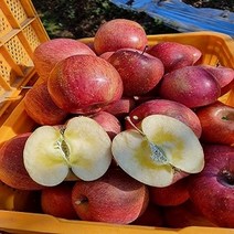 안동 자연 달콤 꿀맛 부사 사과, 10kg - 새콤달콤 중과(32-34과), 1개