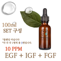 에코문 EGF+FGF+IGF 10ppm 3EA세트-100ml 원액 앰플 에센스, 1개, 100ml