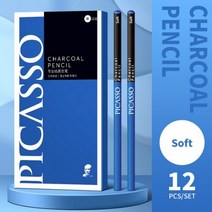 피카소 12 Pcs 스케치 연필 블랙 세트 드로잉 예술가 숯 아트 용품, Soft x12