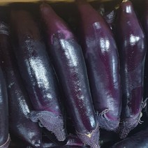 가지 특 상 못난이 5kg 국내산 백산상회, 1박스