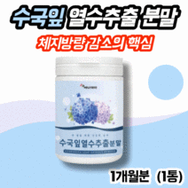 수국잎 수국잎추출물다이어트 AMPK효소 고함량수국잎추출물 하이드라제놀 수국잎하이드란제놀 프리미엄 수국잎열수추출물, 에너데이 수국잎열수추출분말 100g X 1통