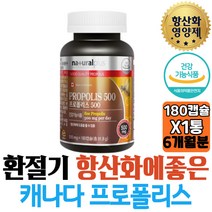 캐나다 꿀벌 프로폴리스 항산화 환절기 플라보노이드 활력 네츄럴플러스 180캡슐
