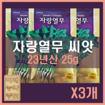 미래종묘 자랑 열무 씨앗 (25g) X3세트 - 23년생산, 3개