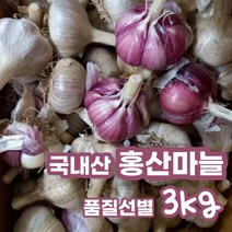 2023 남해 홍산마늘 햇 마늘 3kg 국내산 홍산 마늘 종자 장아찌 통마늘 신품종 신종품 종자용 저장용 김장 식용 식당 마늘쫑 상등급, 3kg (대), 1개