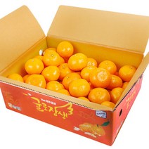 [농협공판장] 귤로장생 프리미엄 노지감귤 5kg(L-2L/37-46과내), 단품