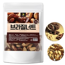 하루 세알 견과류 브라질너트500g 브라질넛 먹는법, 1팩