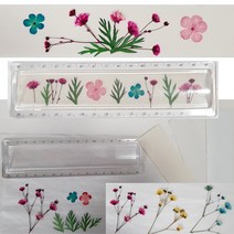 압화 자만들기 누름꽃 아크릴자만들기패키지c-a 수업재료