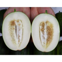 달콤아삭 성산 파파야메론 5kg 3kg 2kg, 파파야메론 5kg 8-15과