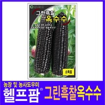헬프팜 그린흑찰옥수수 600g 종자 그린하트바이오