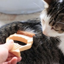 고양이 강아지 브러쉬 그루밍 조개빗 3종 털제거 단모 장모, ORANGE (장모용빗)