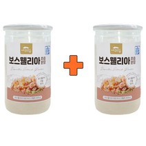 프리미엄 보스웰리아 추출분말 보스웰리아분말 400g 1통+1통, 보스웰리아 추출분말 400g 1통+1통
