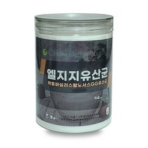 엘지지유산균 락토바실러스 랍노서스 GG유산균 350g, 상세페이지 참조
