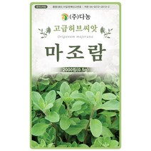 챠이브 1g - 차이브 허브 허브씨 허브씨앗 씨 씨앗 차이브씨앗 차이브씨 꽃씨 꽃씨앗 다년생 여러해살이 Chive, 16_다농_마조람(0.5g)