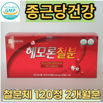 철분제 빈혈 복용 헤모글로빈 빈혈에 좋은 영양제 여성 어지러움 2개월분 학생 임산부 임신중기 초기, 120정, 1개