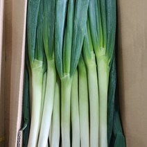 하늘푸드 (5kg) 수입 대파 깐대파 손질대파 식자재, 1box