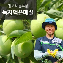 [5월30일부터순차출고]하동 녹차먹은 청매실 10kg프리미엄특대 36mm이상, 없음