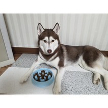 강아지 급체 방지 식기 노즈워크 반려견 식습관 개선 훈련 소형 대형 사료 밥그릇, 사각기둥, 핑크