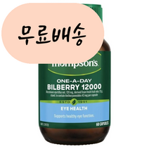 톰슨 빌베리 12000mg 60캡슐 루테인효능 루테인추천 원어데이 홍박스 구매대행, 1개, 60정, 60개