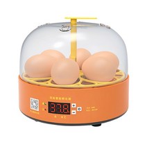병아리키우기 계란 달걀 미니 부화기