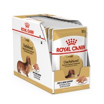 로얄캐닌 닥스훈트 어덜트 파우치 85g x 12개, 단일속성, 상세페이지 참조, 상세페이지 참조