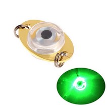 벽걸이 수족관 LED 드롭 수중 눈 모양 루어 라이트 낚시 오징어 물고기 램프, [09] Green2