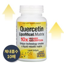 네추럴팩터스 리포소말 퀘르세틴 리포미셀 60정 케르세틴, 1개