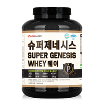 슈퍼게이너 슈퍼제네시스웨이 헬스 단백질보충제 wpi 10개, 2KG