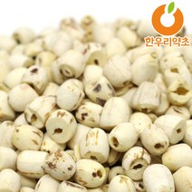 연자육 1200g 연씨 연밥 연꽃씨 효능 먹는법, 깐연자육1200g