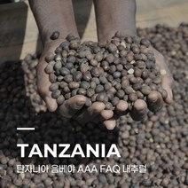 [생두] 탄자니아 음베야 AAA FAQ 내추럴 10kg