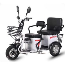 삼륜전기자전거 동반 3륜 배달 여성 애견, 상세 페이지 참고, 리튬배터리48V20A배터리(수명80마일)