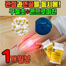 구절초 콘드로이친 저분자 구절초 추출물 미나린 코드이친 콘도리친 콘드레이친 콘트로이친 콘드레이첸 보스웰리아 초록잎홍합 해조칼슘 콘도로이친 콘드레이츠 콘드로우친 곤드레이친, 1개월