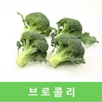국내산 브로콜리8kg 면역력향상에좋은슈퍼푸드, 국내산 브로콜리(특품)8kg