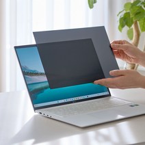 아이오랩스 모니터 사생활보호필름 노트북 개인정보보안 프라이버시 화면보호기 컴퓨터, 거치형, 14인치