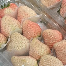 설화향 하얀딸기 눈꽃딸기 특사이즈 500g (500g x 1팩) 1kg(500g x 2팩) 백화점 입점 브랜드 산지직송으로 신선하게 전해드립니다., 1kg( 20~28과)