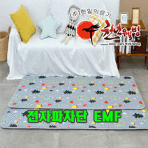 한일의료기 탄소피복 침대용 카본 온열매트 전자파걱정없는 EMF인증 춘천연옥 전기매트 6종선택, 상큼 후르츠, 미니