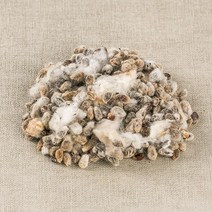 국산 목화씨(면화자) 100g 목화 목화씨앗, 16GB_국산 목화씨(면화자) 100g