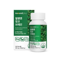 징코 은행잎추출물 혈액순환제 진코민 뇌영양제