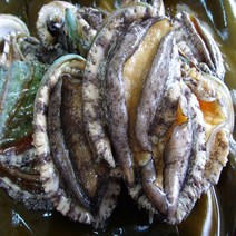 전복 완도전복 선물세트 추천20, 5-7미 2.1kg13-15미, 1