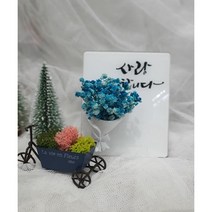 프리저브드액자, 핑크
