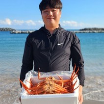 [선주직판] 제철 홍게 대게 자숙 3kg 수율보장 사나이수산, 06_박달 대게(9.5~10cm)1마리_생물