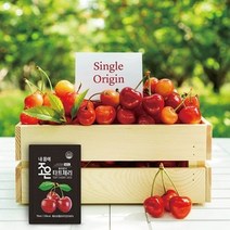 NFC착즙 몽모랑시 타트체리즙 70ml 30포