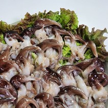 통영 손질 새조개 500g 당일조업 발송하는 자연산새조개 (원물새조개 3kg-35미내외)